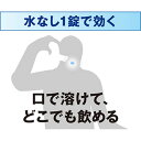 送料無料 5個セット【第3類医薬品】トメルミン(12錠)　ライオン株式会社 【代引不可】 3