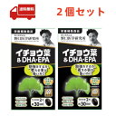 送料無料 2個セット 野口医学研究所 イチョウ葉&DHA・EPA 60粒