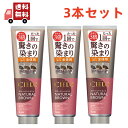 送料無料 3本セット ホーユー シエロ カラートリートメント 全体用 ナチュラルブラウン 230g