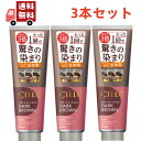 【マラソン限定★ポイント最大P44.5倍】送料無料 3本セット ホーユー シエロ カラートリートメント 全体用 ダークブラウン 230g