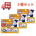 送料無料 3個セット【第3類医薬品】塗るズッキノン軟膏 15g 小林製薬 【代引不可】
