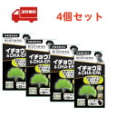 送料無料 4個セット 野口医学研究所 イチョウ葉＆DHA・EPA 60粒