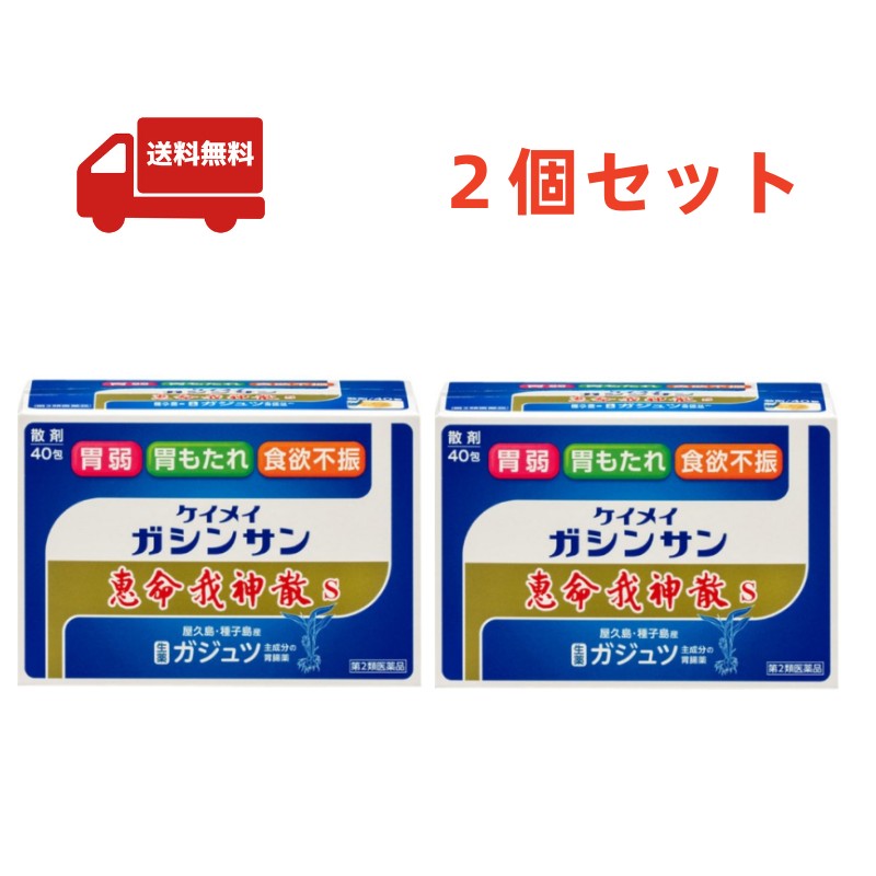 送料無料 2個セット【第2類医薬品】 恵命我神散S（ガジュツ） 40包　胃腸薬　食欲不振　胃部・腹部膨満感　消化不良　胃弱　食べ過ぎ　飲み過ぎ　胸やけ　胃もたれ　胸つかえ　はきけ
