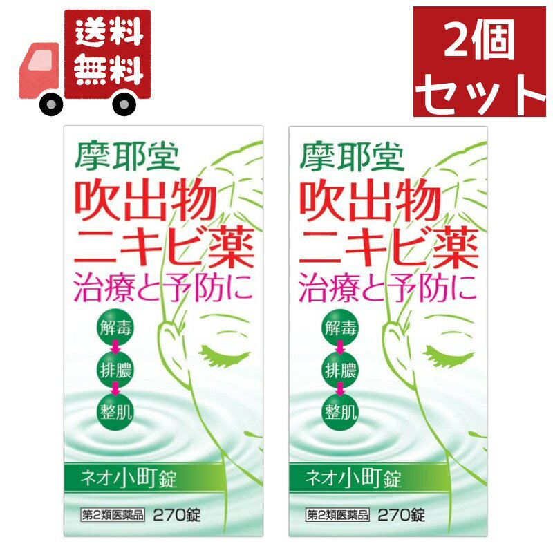 送料無料 2個セット 【第2類医薬品