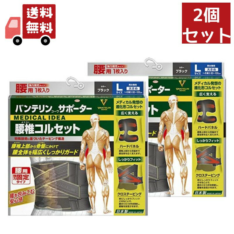 送料無料 2個セット バンテリンサポーター 腰椎コルセット　大きめサイズ Lサイズ（1枚入り） へそ周り80 100cm ブラック　男女兼用