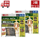 【お買い物マラソン限定★ポイント最大P47倍】送料無料 2個セット バンテリンサポーター 腰椎コルセット 大きめサイズ Lサイズ(1枚入り) へそ周り80 10...