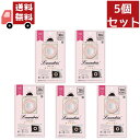 送料無料 5個セット 追跡ありメール便ランドリン 車用フレグランス クラシックフィオーレの香り 【代引不可】