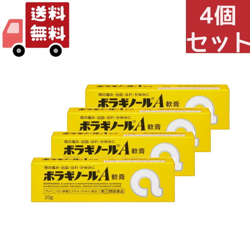 送料無料 4個セット 【第(2)類医薬品】ボラギノールA軟膏 20g【天藤製薬】【代引不可】