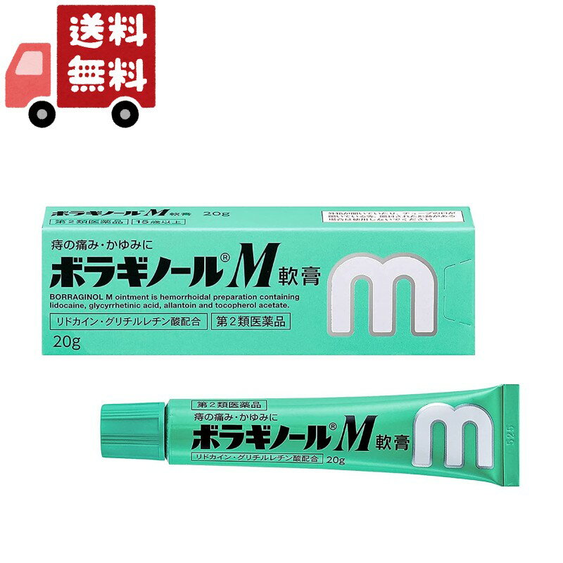 送料無料 【第2類医薬品】天藤製薬 ボラギノールM 軟膏 20g 【代引不可】