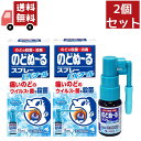 送料無料 2個セット【第3類医薬品】《小林製薬》 のどぬ るスプレーEXクール 15ml (口腔内殺菌剤)【代引不可】