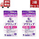 【マラソン限定★ポイント最大P44.5倍】送料無料 2個セット 【第3類医薬品】《小林製薬》 女性保健薬 命の母 アクティブ 168錠