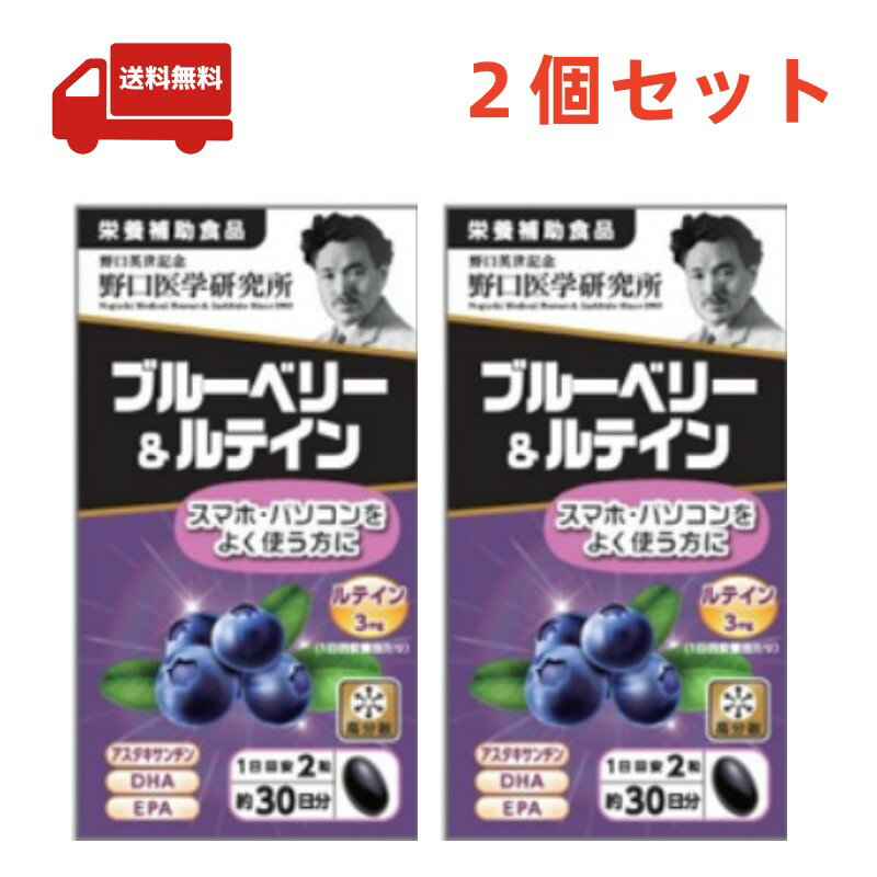 送料無料 2個セット 野口医学研究所 ブルーベリー＆ルテイン 約30日分 (60粒) 栄養補助食品