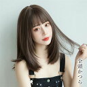 ウィッグ フルウィッグ ナチュラルwig 原宿 女性 普段使い セミロング ストレートレディス かつら 小顔 耐熱(4)