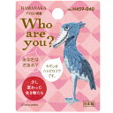 ハマナカ ワッペン アップリケ Who are you ハシビロコウ H459-040 少し変わった生き物たち ミニ刺しゅうワッペン アイロン接着