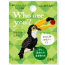 ハマナカ ワッペン アップリケ Who are you ? オオハシ H459-041 少し変わった生き物たち ミニ刺しゅうワッペン アイロン接着