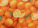 輸入 USAコットン 生地 布 フレッシュオレンジ 261ORANGE フードフェスティバル エリザベススタジオ フルーツ 果物 商用利用可能