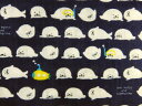 ダブルガーゼ生地 布 アザラシの赤ちゃんと潜水艦 KTS6267Aネイビー seal babys and submarine 動物柄 コットンこばやし 商用利用可能