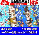 福袋 キャラクター生地 男の子柄 1mカット×10枚入り 入園入学 レッスンバッグ 体操着入れ 巾着袋に