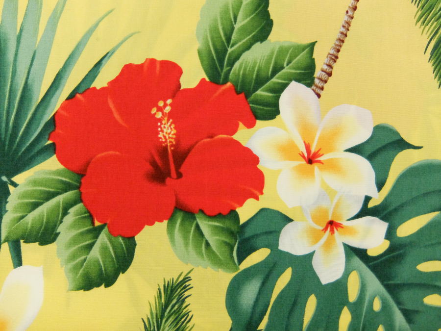 生地 布 輸入 USAコットン ハワイアンフラワー HJ-024Yellow 花柄 ボタニカル トレンドテックス 商用利用可能