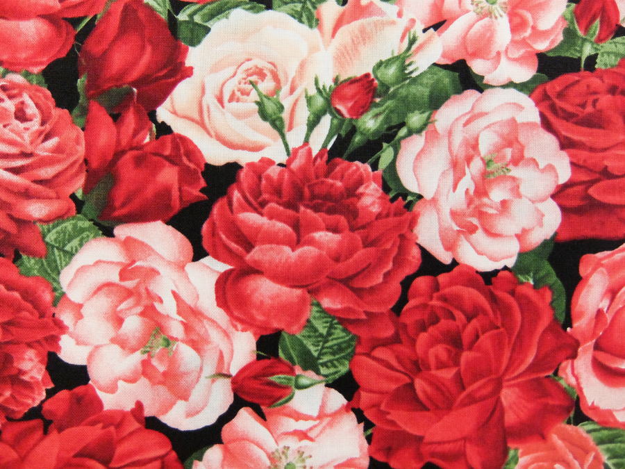メーカー完売輸入 USAコットン 生地 布 タイムレストレジャーズ パックドローズ C5815-ROSE 花柄 ばら 薔薇 ばら 商用利用可能