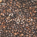 シーチング生地 布 coffee コーヒー豆 トリック柄 211023 インクジェットプリント 商用利用可能