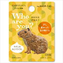 ハマナカ ワッペン Who are you ? H459-145 カピバラスモック バック 帽子 ワンポイント 動物ワッペン アイロン接着 刺しゅうワッペン