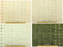 【楽天ランキング入賞商品】2011 naniIRO ナニイロ 伊藤尚美JGQ13100-1colorful Pocho※現品限り ダブルガーゼキルティング生地 商用利用不可