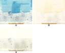 ふんわりやわらか ダブルガーゼ生地 naniIRO Textile 2017 ナニイロ 伊藤尚美 JG10560 wild flower 新柄 商用利用不可