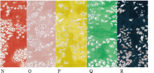 （色N,Pを除き）メーカー完売　ダブルガーゼ生地 布 naniIRO Textile 2020 ナニイロ 伊藤尚美 EGX10310−1 Lei nani レイナニ 商用利用不可のサムネイル