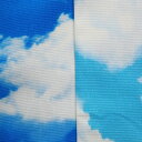 入園入学 コットン オックス生地 布 青空の雲 ブルースカイ YGB51010-1 商用利用可能
