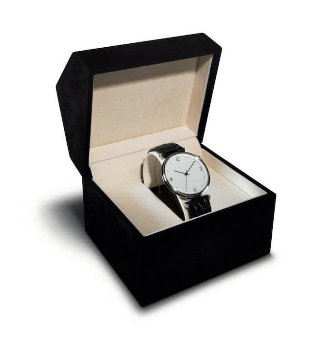 The Watch type 02 クロコタイプ 腕時計