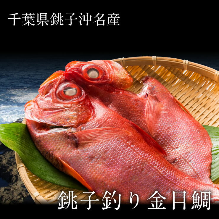 【千葉県銚子のブランド品】高級釣り金目鯛真空パック 干物 ギフト
