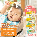 【選べる6個セット!】離乳食 ベビーフード おこめのたべりんぐうどん 100g KJZ430417 KJZ430418 KJZ430419 赤ちゃん 赤ちゃん用うどん 無添加 グルテンフリー 国産 食べやすい うどん 時短 エジソンママ EDISON エジソン EDISONmama