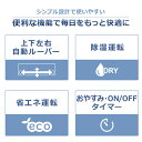 エアコン 10畳 工事費込み ルームエアコン2.8kW カラータイプ エアコン クーラー 暖房 冷房 空調 リモコン セット 省エネ おしゃれ アイリスオーヤマ【工事込】 2