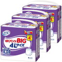 【最大300円OFFクーポン!20時〜4H限定】【3個】介護用紙パンツ リブドゥ まとめ買い リフレ はくパンツ BIG 4Lサイズ 12枚入り 920583大...