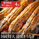 【4尾】頑固おやじのこだわり鰻 うなぎ かば焼き 国産 鰻蒲焼 冷凍 800g 愛知県 厳選 愛知県産 土用 Tokka 【TD】 【代引不可】(4)