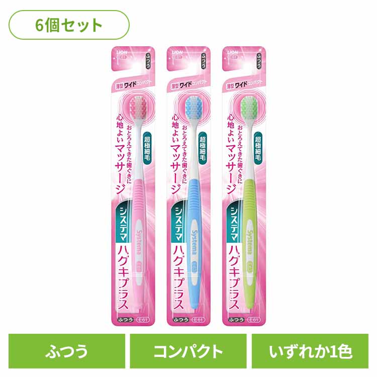 ��6�ĥ��åȡۥ����ƥ� �ϥ����ץ饹 �ϥ֥饷 �磻�ɥ���ѥ��� �դĤ� �饤���� �����ƥ� ������륱�� ���֥饷 �����¥��� �ϥ����ץ饹 �磻�ɥ���ѥ���...