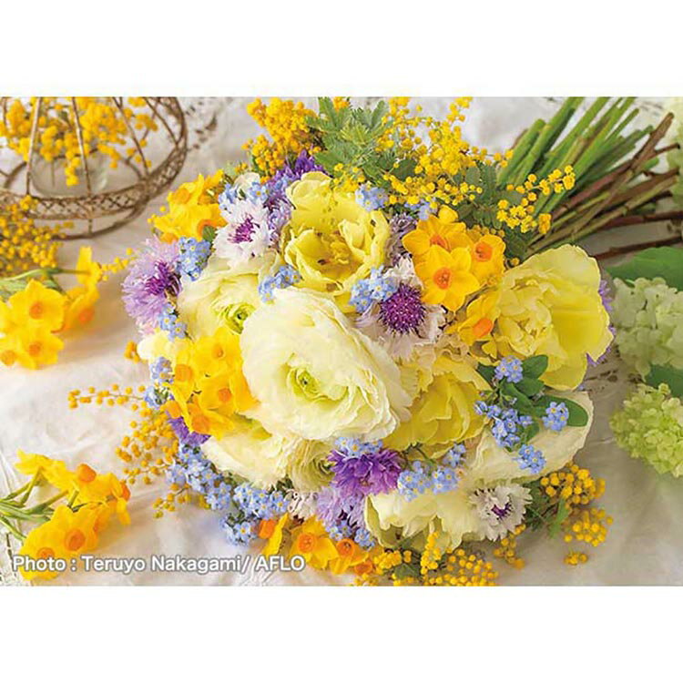 500�ԡ��� �����Υ����ե�֡��� 500-313�������� �� 500�ԡ��� ���������ѥ��� ���åץ���