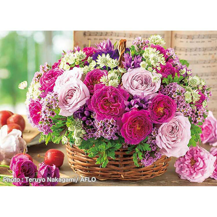 500�ԡ��� �Х鿧�Υ����塼�� 500-299�Х����å� �Х� ������ 500�ԡ��� ���������ѥ��� ���åץ���