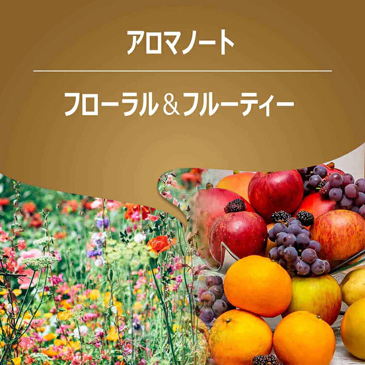 クオリタ・オロ 2507304エスプレッソ アロマ クレマ アラビカ 極細引き 芳醇 リッチ LAVAZZA kyarahouse-10158090 こどもラボ サンプル画像3