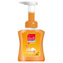 【1日限定!最大300円OFFクーポン】泡ミューズ フルーティフレッシュ 本体 250ml ミューズ ハンドソープ 泡タイプ 消毒 殺菌 石けん 保湿成分 詰め...