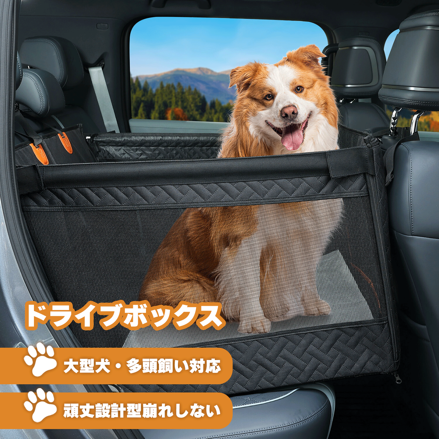 楽天市場】犬用 ドライブボックス（大きさ（犬）大型犬）の通販