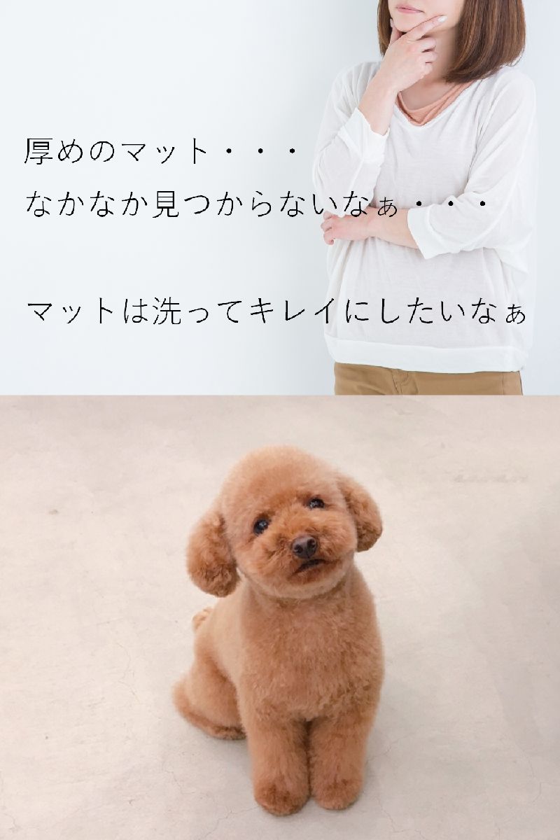 定番 21 ドッグケアマット ペット用 エアー マット ベッド 老犬 体圧分散 大型犬 中型犬 標準xlサイズ 横136 縦 犬 床ずれ防止 マット ベッド 高反発 厚め5 0cm ペットケアマット ブレスエアー 定番 21 ドッグケアマット ペット用 エアー マット ベッド 老犬 体圧分散 大型犬 中型犬 標準xlサイズ 横136 縦 犬 床ずれ防止 マット ベッド 高反発 厚め5 0cm ペットケアマット ブレスエアー