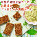 ごまたんと138g おこし ごまおこし ごまのお菓子 ごま菓子 黒糖おこし 黒糖ごまおこし おやつ ごま 黒糖 体に優しい 体にやさしいおやつ エシカルフード ...