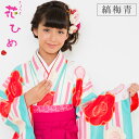 着物 二尺袖 ジュニアサイズ 専用長襦袢 ピンク 花ひめ/縞梅青 2点セット 伊達衿付 卒業式(4)