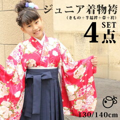 https://thumbnail.image.rakuten.co.jp/@0_mall/kyo-no-oshareya/cabinet/kimono/jrkimono/tjrkimono02top.jpg