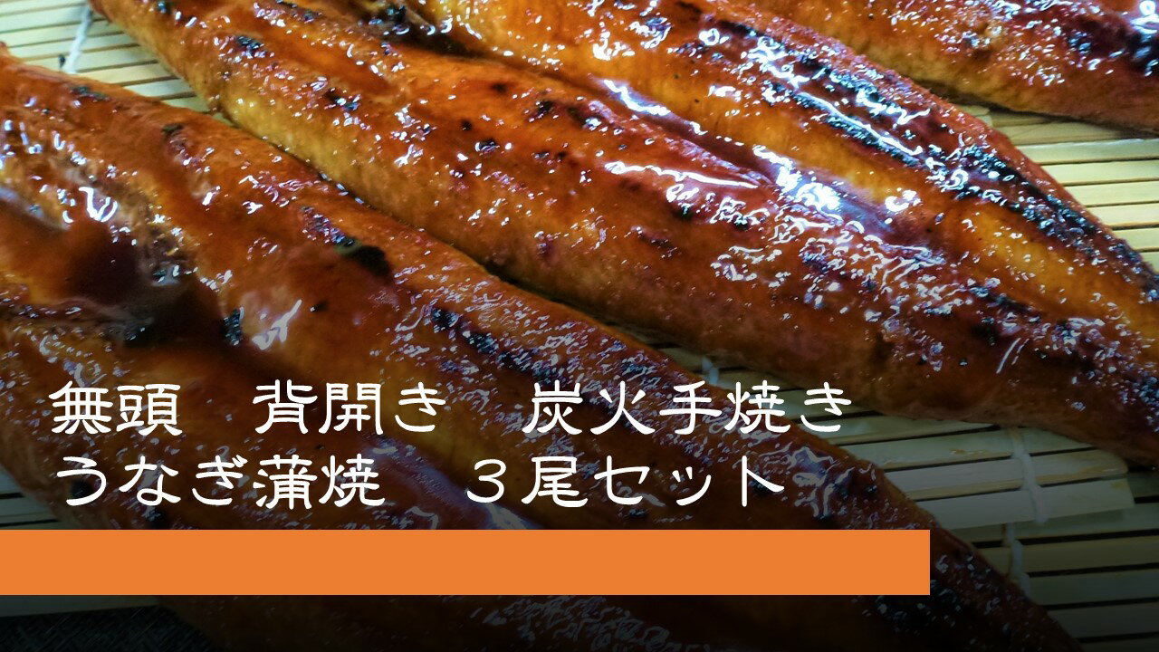 送料無料！ 無頭 背開き 炭火手焼きうなぎ 蒲焼 (長焼き) 3尾セット