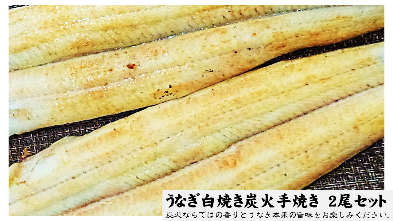 送料無料!うなぎ白焼 炭火手焼き(長焼き) 2尾セット