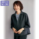 大人 おしゃれ ブラウス ミセスファッション レディース 春秋 / 重ね着風デザインシャツ / 大きいサイズ M L LL 3L / 40代 50代 60代 70代 シニアファッション 服