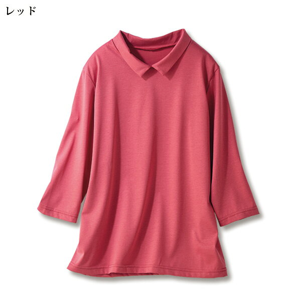 プルオーバー トップス レディース おしゃれ 春夏 ミセス シニア ファッション 40代 50代 60代 70代 80代 アイスロイヤル 衿付きプルオーバー kyo-tsu-10112371 京都通販 ミセスのファッション館 サンプル画像3